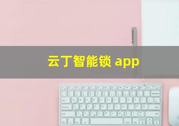 云丁智能锁 app